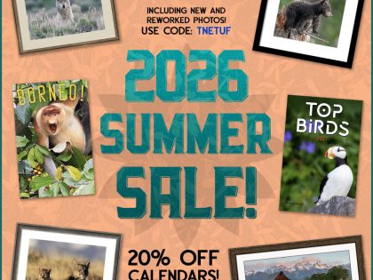 2026 Summer Sale: 20% Off Photo Prints and Calendars