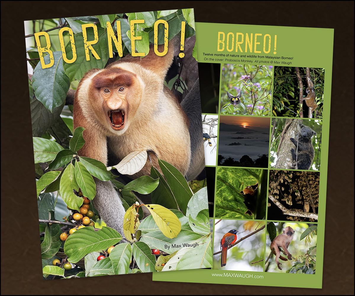 2027 Borneo Calendar