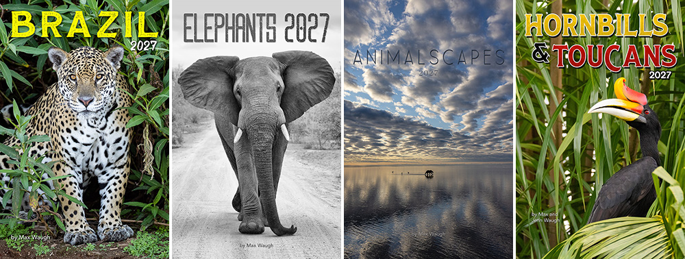 2027 Classic Calendars