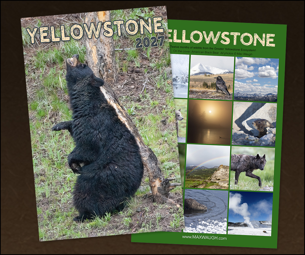2027 Yellowstone Calendar